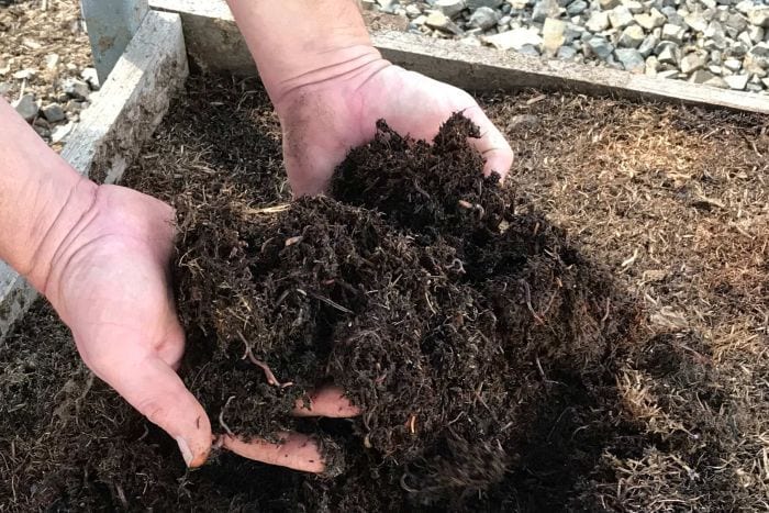 Как да направим компост в градината от нашите органични отпадъци