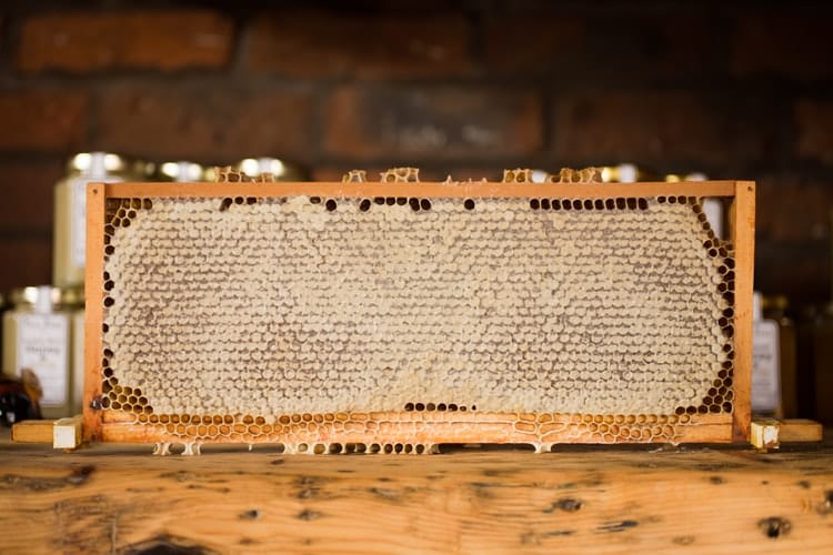 Как да се грижим за пчелите през Юни – този