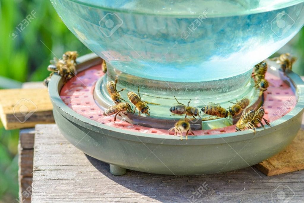 Поилка за пчели. как да направим външна поилка за пчели. Водата и пчелите.