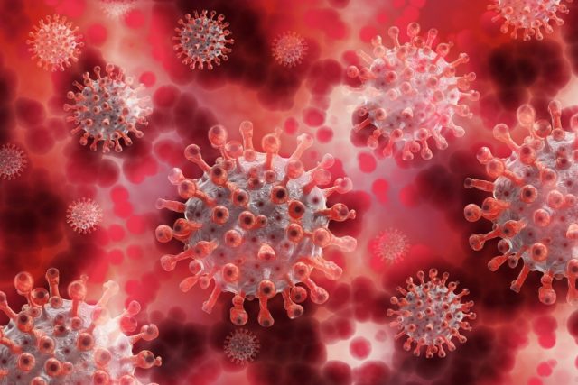 Топ 10 факти за вирусите – въпреки глобалния мащаб на
