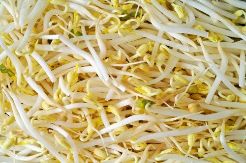 Кълнове от царевица. Как да съхраним царевицата?