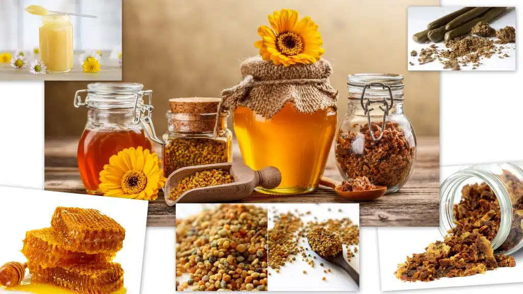 Пчелни продукти против вируси и настинки, както и против ковид 19