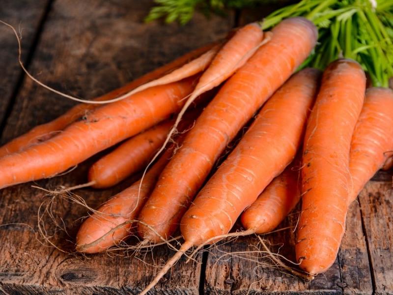 Как да съхраним морковите за зимата
