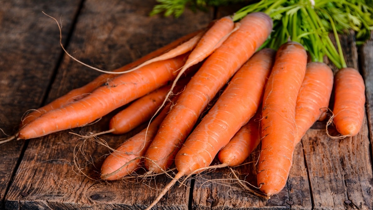 Как да съхраним морковите за зимата – независимо дали отглеждате