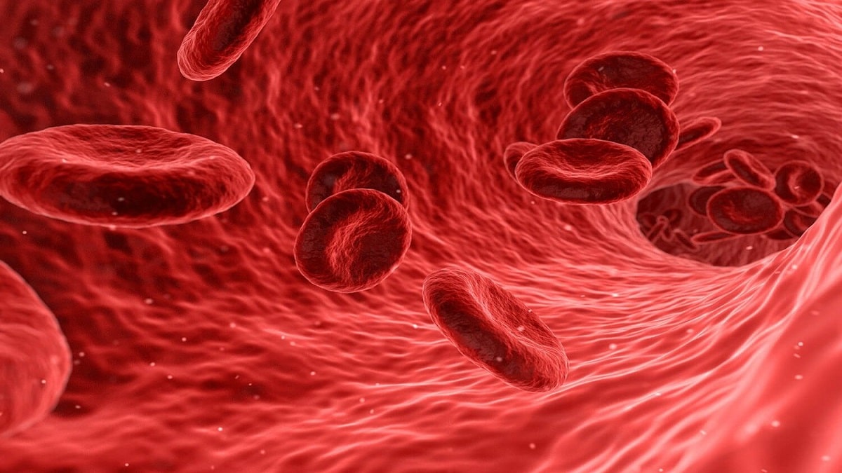 Как да изчистим кръвоносните съдове – здравото сърце означава здравословен