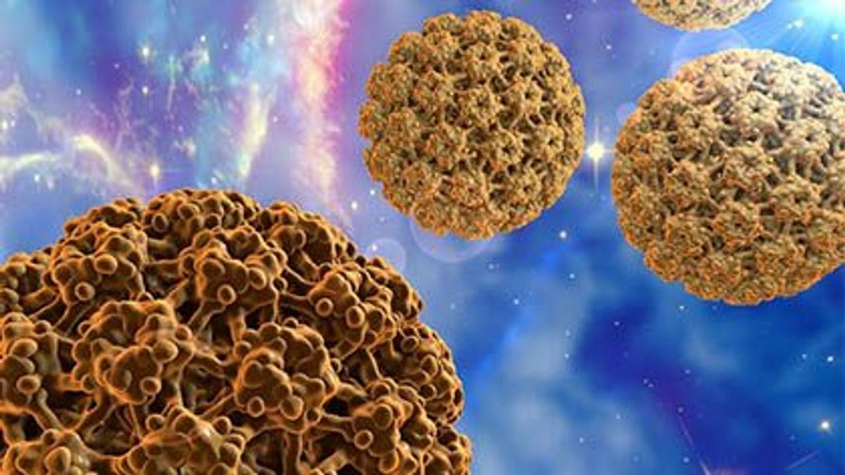 Как да излекуваме папиломен вирус – човешкият папиломен вирус HPV