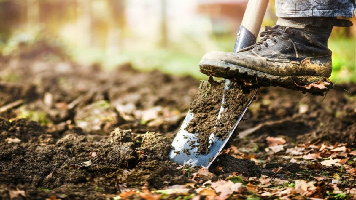 Как да подобрим почвата през есента – няма по-добро време