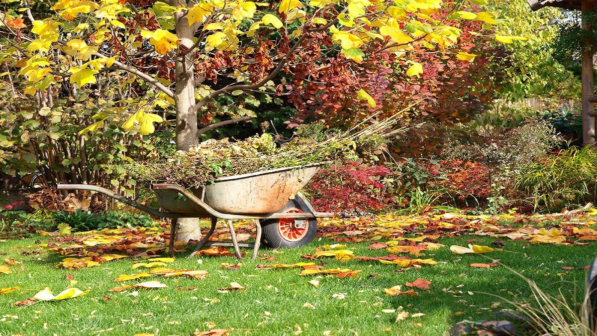 Как да подготвим градината преди зимата – и така, есента