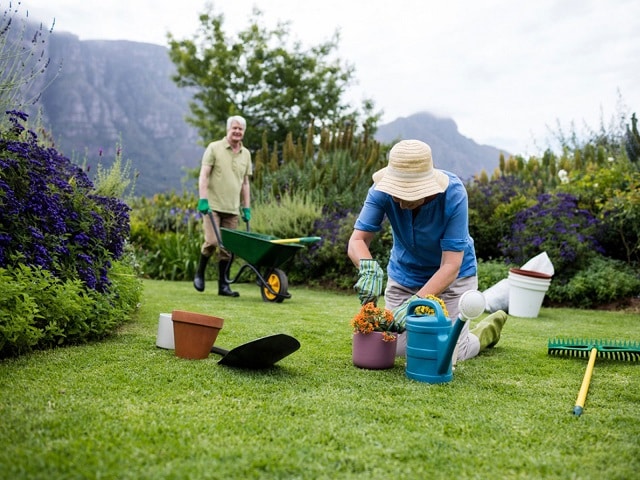 Градинарство - най-добрите упражнения за ставни заболявания