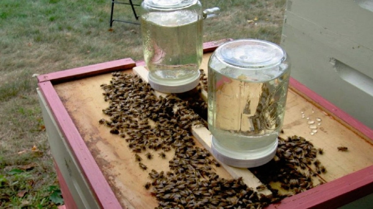 Как да приготвим захарен сироп за пчелите? По правило пчелите