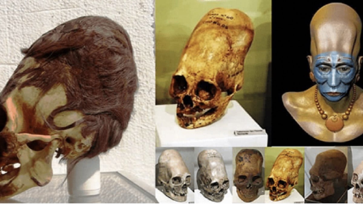 ДНК резултатите от удължените черепи от Паракас в Перу най накрая