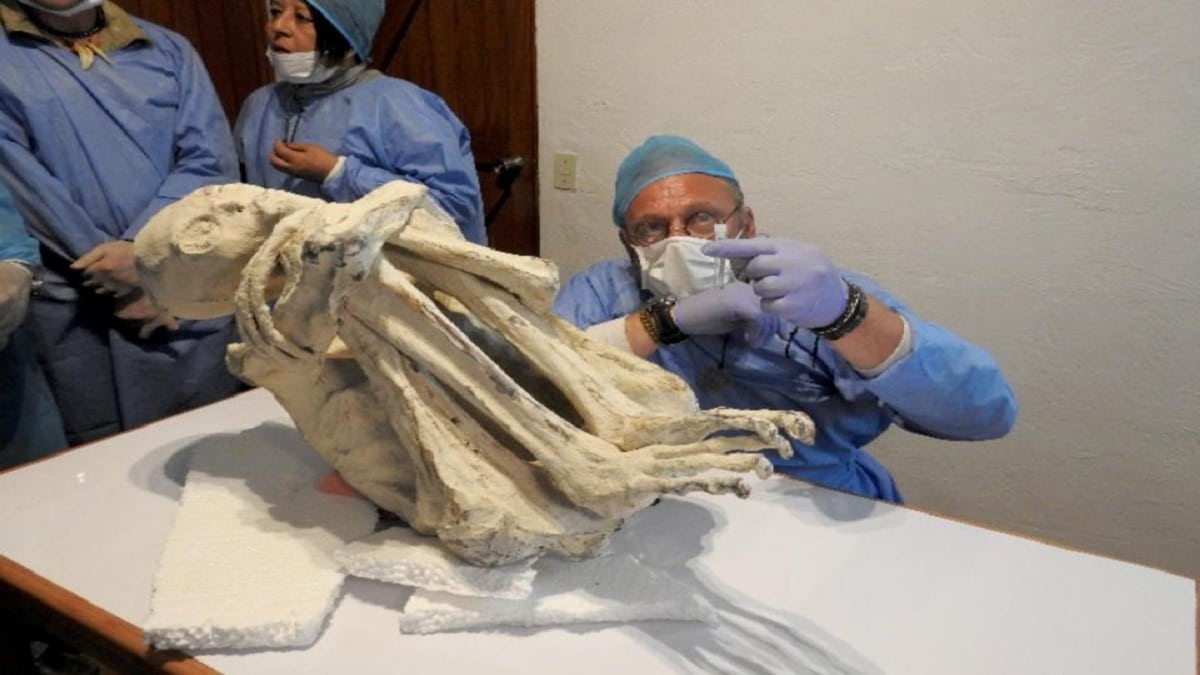 Мумия на извънземно с три пръста изкопана в Перу може