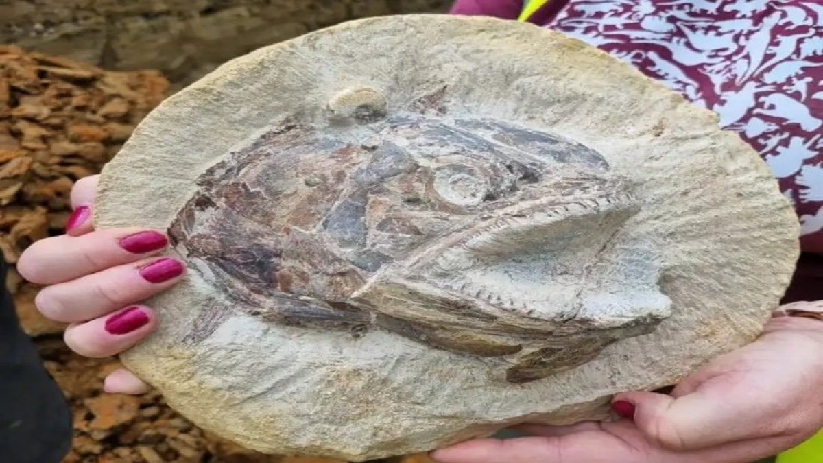 Откриха фосил на риба на 183 милиона години от юрския
