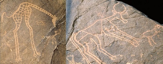 Скални рисунки под формата на резби и рисунки предимно на животни и растителност и датирани от 3500 до 2500 г. пр. н. е. са открити в планините Air в североизточен Нигер, недалеч от град Djado.