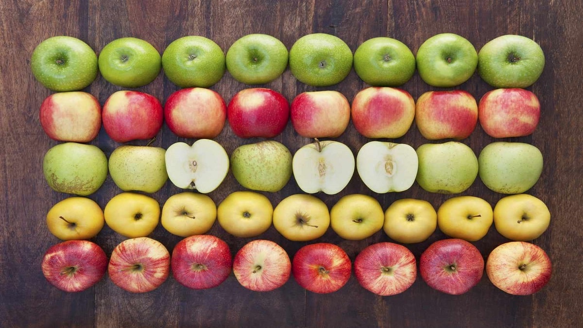 Зимни сортове ябълки с отлични характеристики Опитвате ли се да