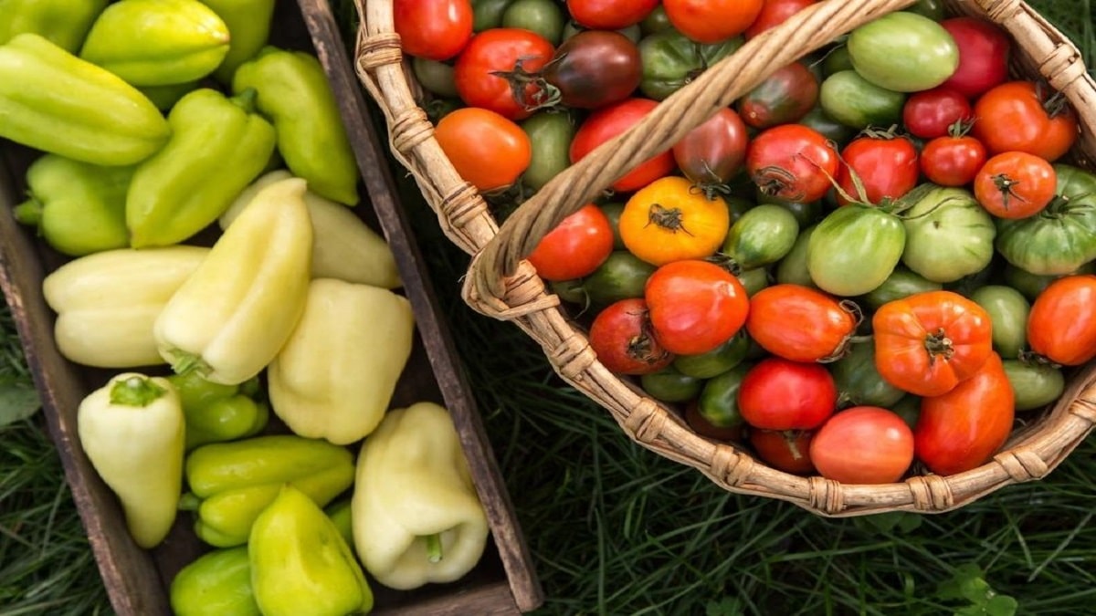 Снимка: Как да запазим доматите, краставиците и чушките за по-дълго?