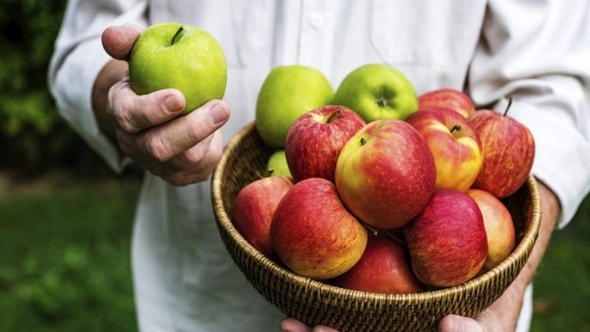 Снимка: Как да съхраним ябълките за зимата?