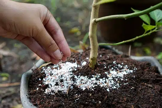  4 метода да извършите почвата по-алкална 
